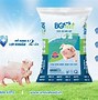 Anova Feed Của Ai Sản Xuất Tại Việt Nam Là Gì