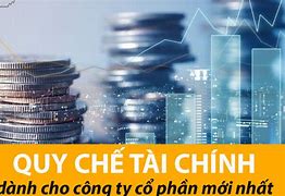 Quy Chế Tài Chính Công Ty Tiếng Anh Là Gì